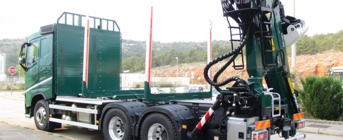 Palfinger Epsilon M110Z79 Crane and Forestry Platform for UTPO Benšak