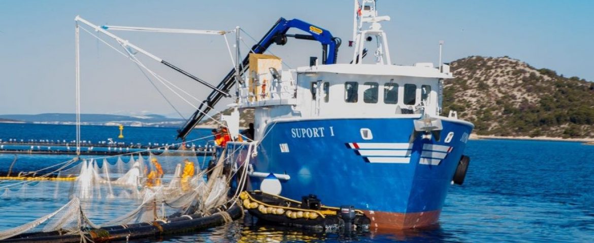 Palfinger Marine dizalica za tvrtku Jadran tuna d.o.o.