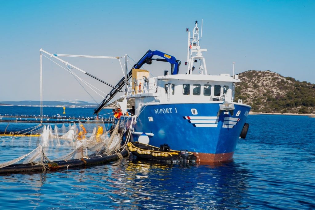 Palfinger Marine Crane for Jadran Tuna d.o.o.